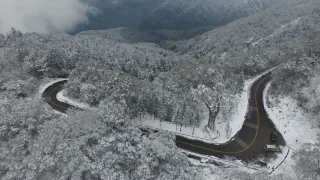照片提供｜林維祥