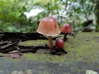照片提供｜新竹分署