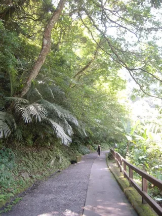 照片提供｜高榕翎