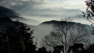 照片提供｜張善穎