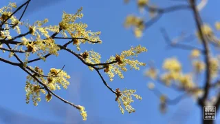 照片提供｜森之形自然教育團隊