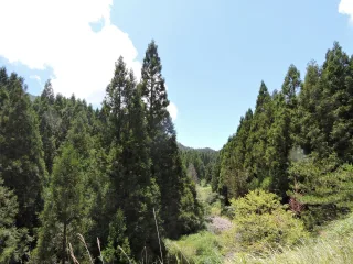 照片提供｜新竹分署