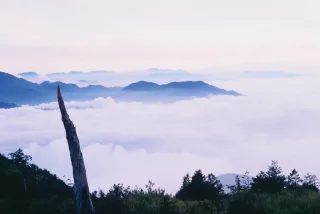 照片提供｜臺中分署
