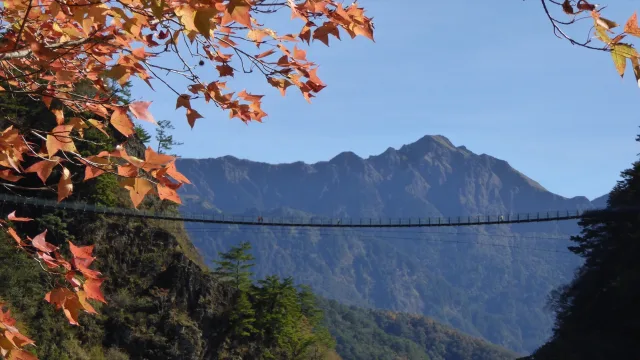 照片提供｜南投分署