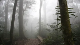 照片提供｜屏東分署