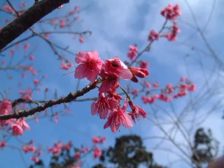 照片提供｜屏東分署