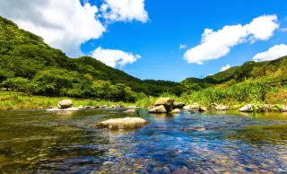 照片提供｜屏東分署