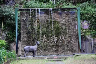 照片提供｜臺東分署