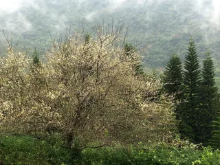 照片提供｜花蓮分署