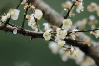 照片提供｜花蓮分署