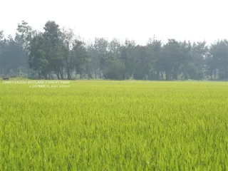 照片提供｜嘉義分署