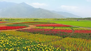 照片提供｜花蓮分署