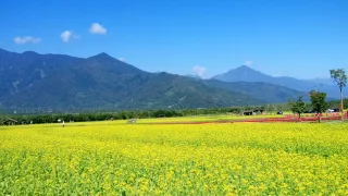 照片提供｜花蓮分署