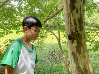 照片提供｜觸口自然教育中心