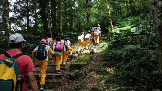 照片提供｜東眼山自然教育中心