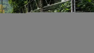 照片提供｜新竹分署