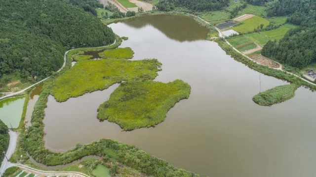 雙連埤野生動物保護區
