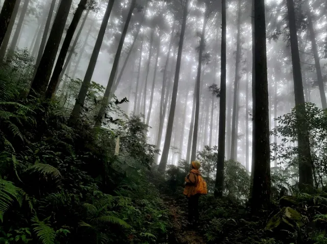 鵝公髻山步道