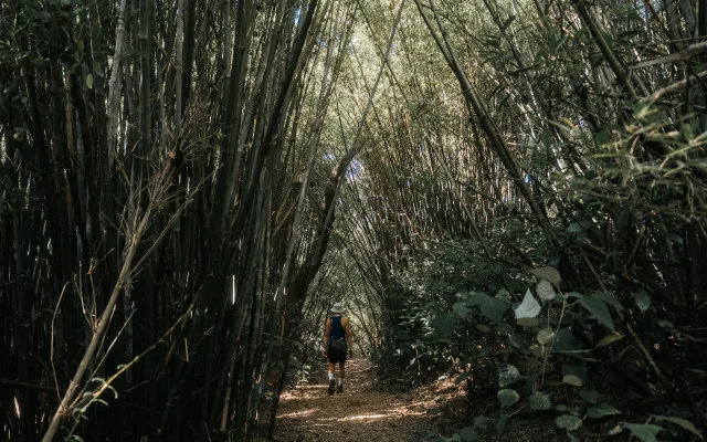 三段崎古道
