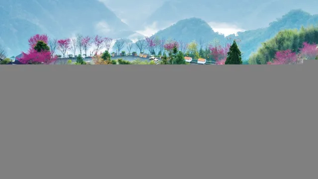 山上人家森林農場