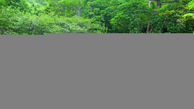 埤塘窩生態園區