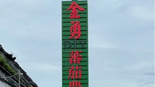 金勇DIY番茄農場