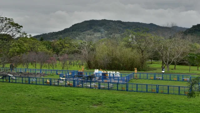 竹東寵物運動公園