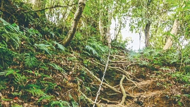 麥巴來登山步道