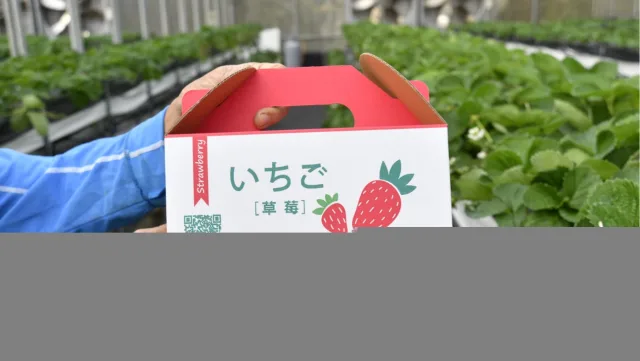 好上林無毒草莓園