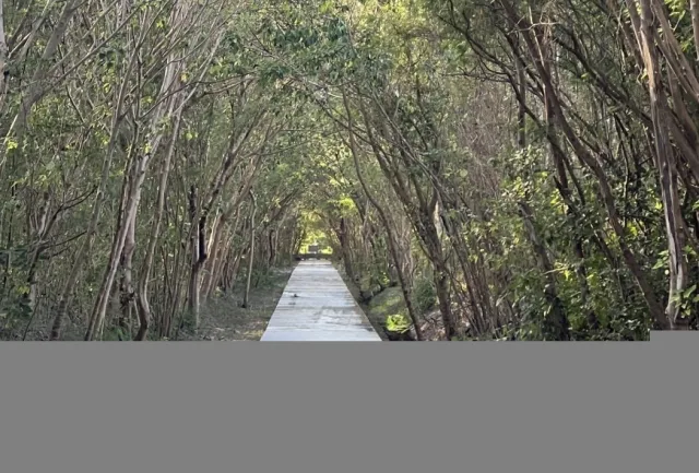 頭前溪右岸自行車道