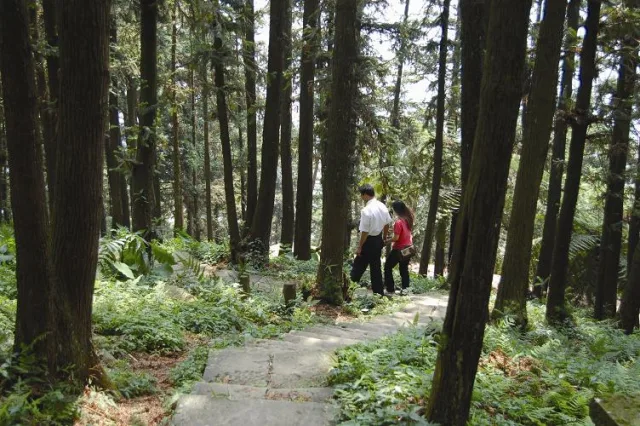 仙山登山步道