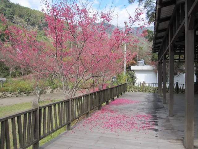 鹿場