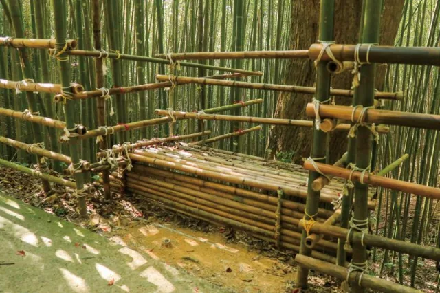 烏嘎彥竹林
