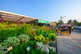 田尾公路花園主要是沿著環狀的公園路一、二段、公園東路和南北、東西向的民生路、民族路等展開，一家接著一家的園藝行，每一家的植物品項之齊全，幾乎堪比其他城市的一座花市了，從開花植物、觀葉、香草、多肉、孢子植物等，涵蓋了草本、木本、盆栽等，包羅萬象，無論是療癒系、沙漠系、雨林系等，應有盡有。而除了綜合性的園藝行，更有業者專攻獨特的類別，有仙人掌系列的多肉植物、或是蕨類、蘭花、玫瑰、盆栽、水生植物等等，深入門道，不乏珍稀品種，讓人嘆賞。