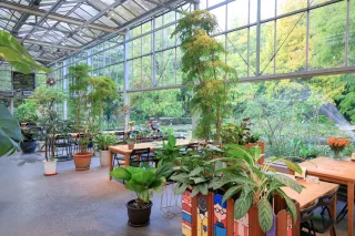 不少業者更結合餐飲服務，提供彰顯花草特色的風味料理、飲品和冰淇淋等，或附設親子教室、開設DIY課程，推廣植感生活美學，像蕨類上板、多肉盆栽DIY、植物組盆、乾燥花押花、石頭彩繪、果凍蠟燭等，提供創作的樂趣。