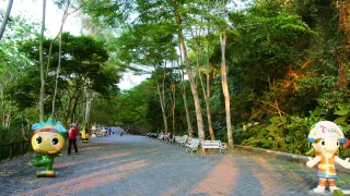 具挑戰性登山路線與田中鼓山寺相鄰之田中森林公園，公園內登山步道大部分蜿蜒穿行在山嶺線上，全程成一循環路線，依著山勢而行，高低起伏落差大，是富挑戰性登山路線，而位於中點之平台區為南投縣境內之名間台地，視野絕佳，若天氣良好能遠眺濁水溪及台灣海峽呢！長青自行車道車道位於海拔高度１２５～３９５公尺，八卦山脈南段西側山麓，全線彎延穿行山林、田野之間，是台灣中部地區單車旅遊及從事山野自然活動之絕佳場所。眺望峻秀山勢-長青登山步道 長青登山步道位在長青自行車道沿線上，從田中贊天宮、普興寺旁小徑可上達登山口，步道全長約1.3公里，全程亦成一循環路線，沿線可眺峻秀山勢，俯瞰田中市景平原景緻，回程還可順道前往贊天宮、普興寺參佛一番。懷舊之旅菸樓遊體驗森林之美後，不妨就近到復興、東源等里來趟「菸樓懷舊之旅」。早期不少田中鎮農民培植菸草致富，現今還有數十公頃，菸田綠油油一片，令人賞心悅目目前雖早已不再使用傳統的方式烘製菸葉，但老式的菸樓仍有部分保存下來，閣樓式的菸樓，令人思古情幽。造訪傳統「田中窯」如果想體驗文人雅士之樸實自然雅興，傳統「田中窯」可是絕對不能錯過的喲！沿中南路、員集路、斗中路到窯房只有十餘分鐘行程，那兒還有曾獲文建會文馨獎的葉志誠，開設柴燒穴窯，燒製的作品具「自然落灰」之美，材質素樸自然，令人玩味！