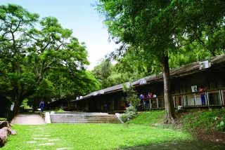 綠色學習營地-指示牌