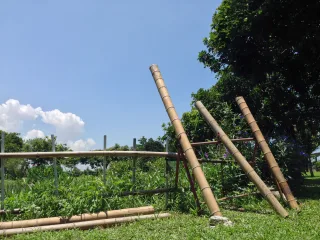 東螺溪休閒農場體驗