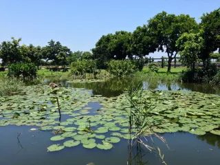 東螺溪休閒農場體驗