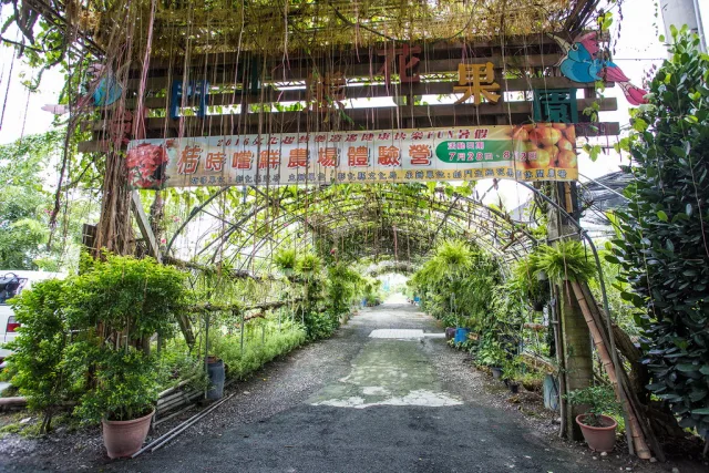 劍門生態花果園