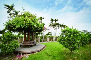 劍門生態花果園休閒農場綠景