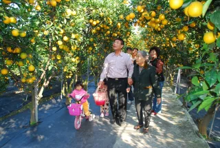 劍門生態花果園