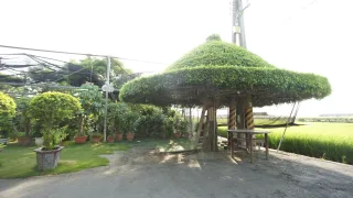 劍門生態花果園
