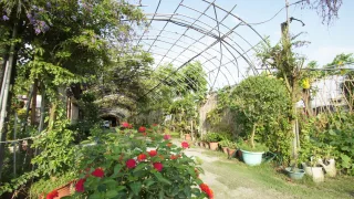 劍門生態花果園