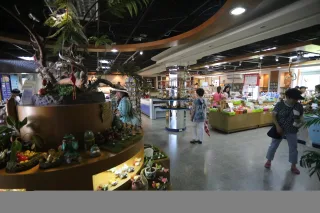 92年由文建會發掘而給予研習輔導，94年獲勞委會的支持開始執行多元就業開發方案，村民們常常熱心主動提供蚵殼，共同欣賞蚵藝之美，社區互動的情感，在蚵殼之間流轉，更重要的意義是隨著蚵藝的發展，帶動漁村商機。