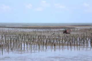 肉粽角海岸，除了賞鳥外，還可在沙灘撿拾貝殼或挖尋潮蟹，而且海岸景色迷人，看海、賞海好所在。