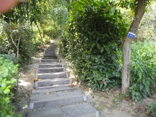 歡喜生態園-景觀
