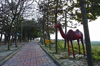 興山公園道路