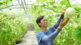 楊桃園休閒農場員工