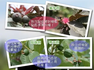 菁芩休閒農場